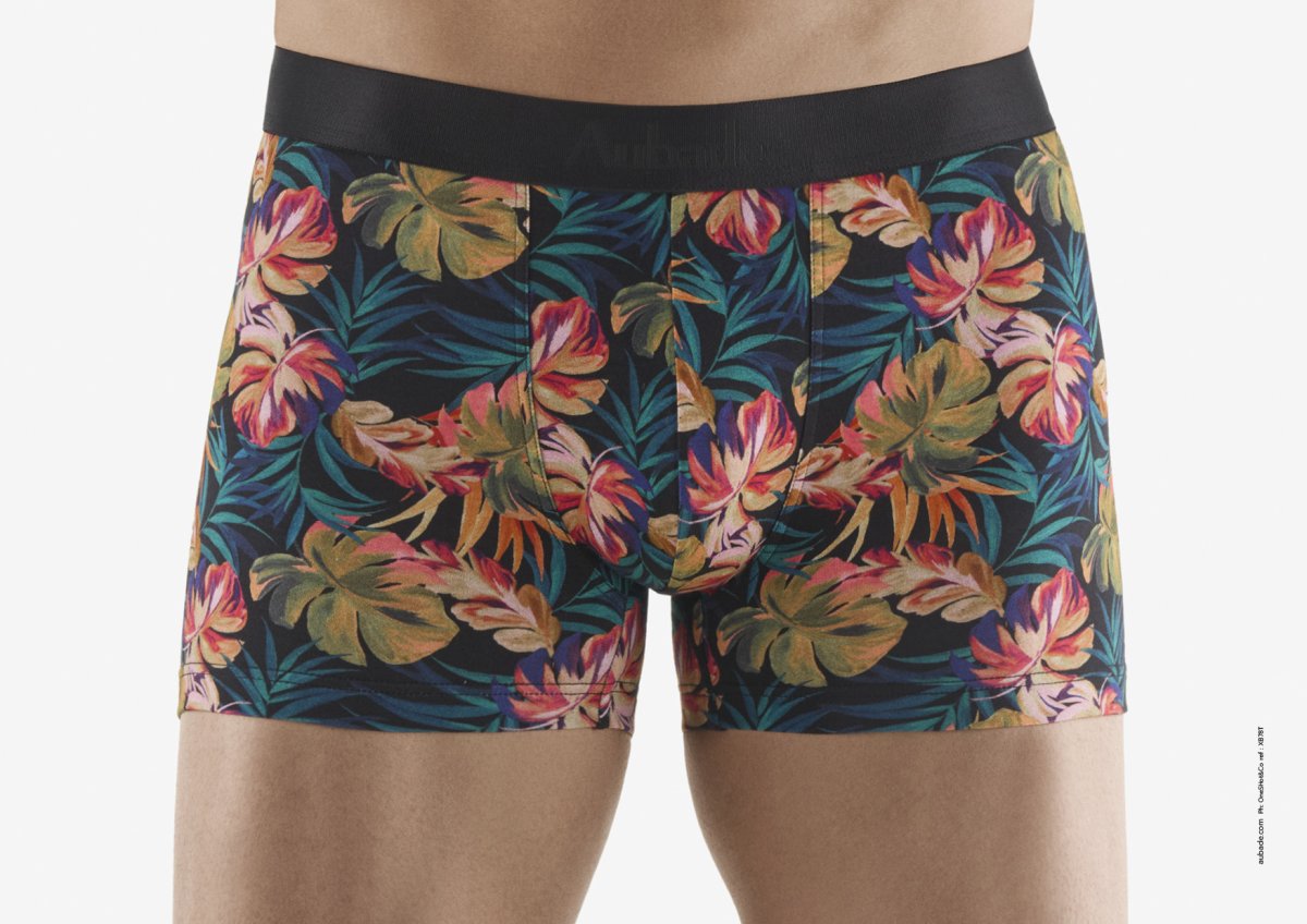 Paradise Flower Paradise Flower