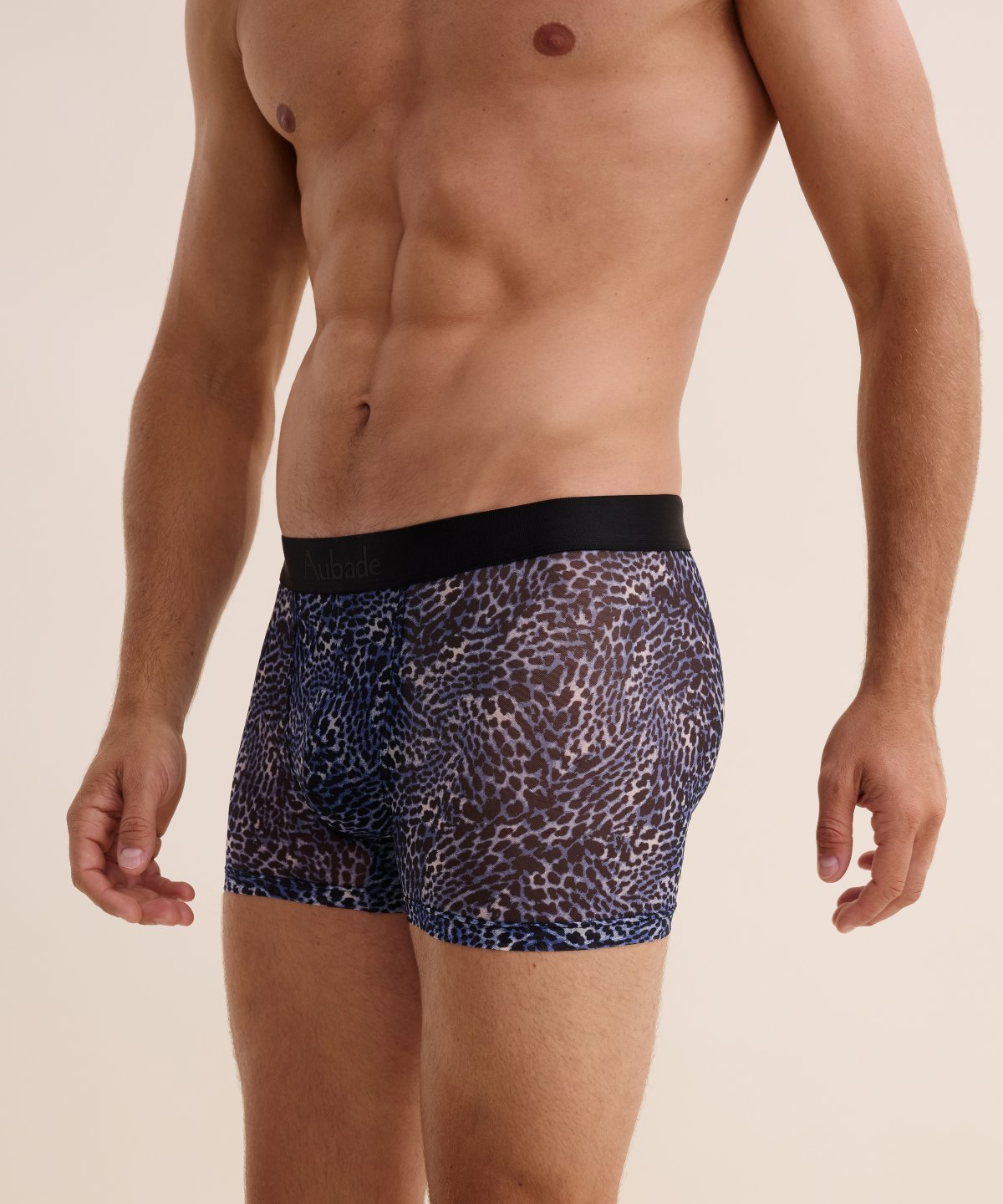 Boxer Wild Side